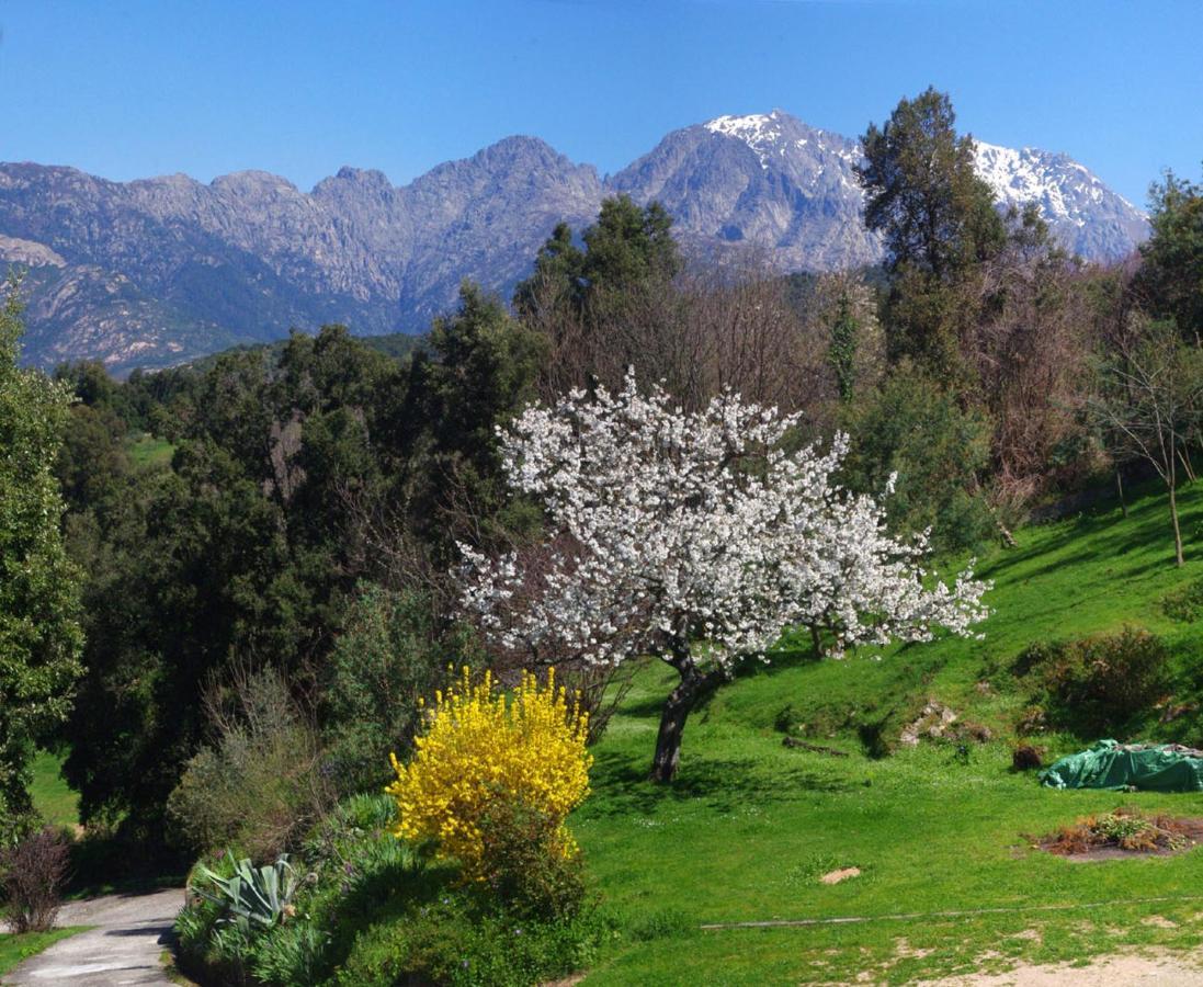 95M2 Au Calme A 25Mn Ajaccio, Plages, Linge Inclus Parking Ok Ucciani المظهر الخارجي الصورة