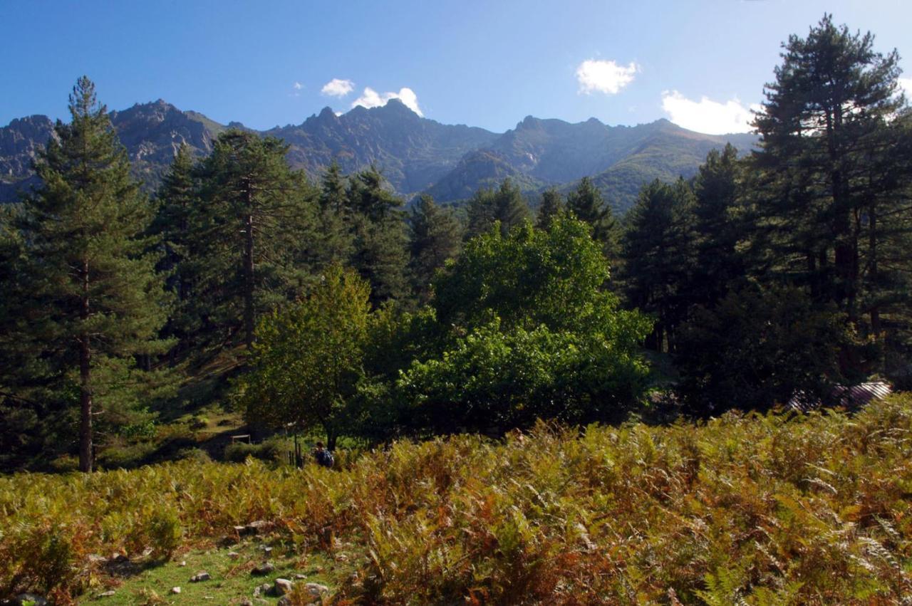 95M2 Au Calme A 25Mn Ajaccio, Plages, Linge Inclus Parking Ok Ucciani المظهر الخارجي الصورة