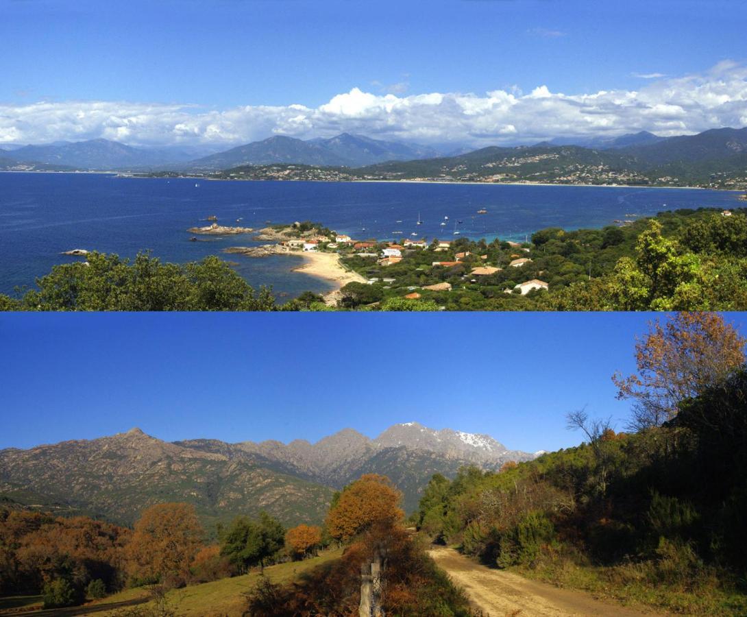 95M2 Au Calme A 25Mn Ajaccio, Plages, Linge Inclus Parking Ok Ucciani المظهر الخارجي الصورة
