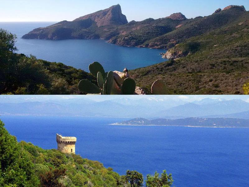 95M2 Au Calme A 25Mn Ajaccio, Plages, Linge Inclus Parking Ok Ucciani المظهر الخارجي الصورة
